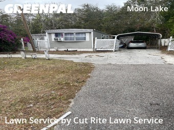 Grass Cutting nearby New Port Richey, FL, 