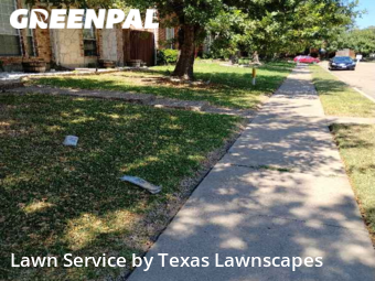 Grass Cut nearby The Colony, TX, 