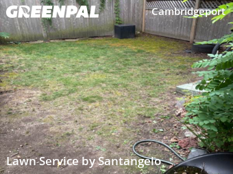 Grass Services in Cambridge, 2139, Yard Care Services by Santangelo, work completed in Nov , 2025