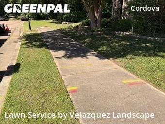 Lawn Service nearby Shelby County, TN, 