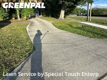 Yard Mowingin Oldsmar,34677,Lawn Care Service by Special Touch Enterp, work completed in Jun , 2026