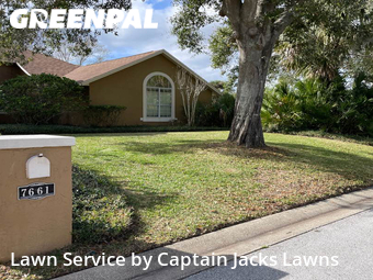 Grass Cut nearby Orlando, FL, 