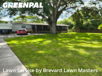 Turf Services in Merritt Island, 32953, Lawn Upkeep by Brevard Lawn Masters, work completed in Oct , 2025