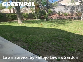 Lawn mowed in Las Vegas, 89135