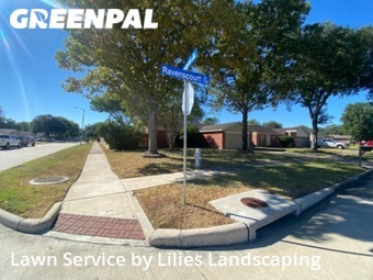 Lawn Cutting nearby Sugar Land, TX, 