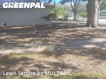 Lawn Cutin Palm Harbor,34684,Lawn Care by MULTIMIL , work completed in Nov , 2025