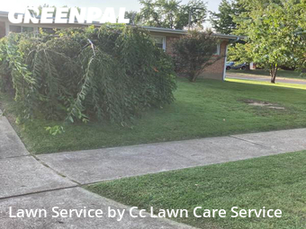 Lawn Cut nearby Overland, MO, 