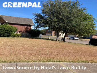 Grass Cut nearby Grand Prairie, TX, 