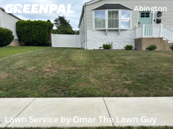 Grass Cut nearby Roslyn, PA, 