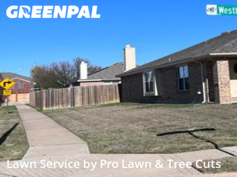 Lawn Mow nearby Grand Prairie, TX, 