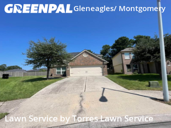 Grass Cut nearby Conroe, TX, 