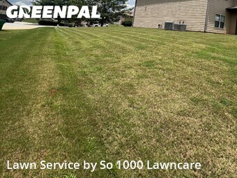 Lawn Maintenance nearby Lithonia, GA, 