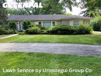 Lawn mowed in Northbrook, 60062