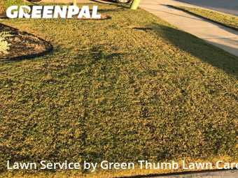 Lawn Cut nearby Oak Point, TX, 