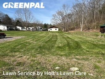 Yard Cutting nearby Kingsport, TN, 