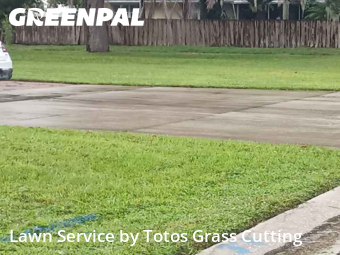 Grass Cutin Ocoee,34761,Lawn Service by Totos Grass Cutting, work completed in Nov , 2025