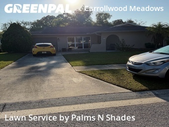 Lawn Mowing nearby Tampa, FL, 