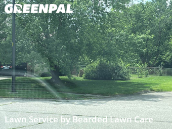 Grass Cut nearby Ypsilanti, MI, 