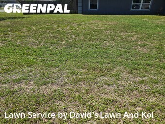 Yard Cutting nearby Ocala, FL, 