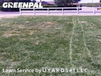 Lawn mowing work completed in Turlock, CA