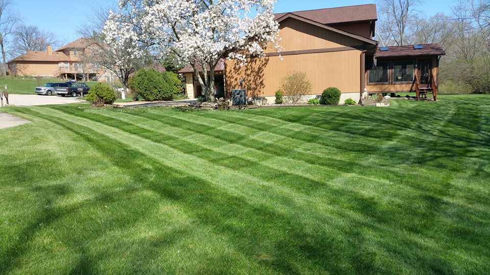 Phil's Lawn Care Lawn Care Services in Fairfield, OH