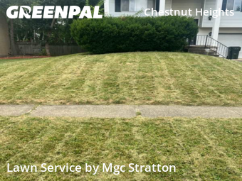 Lawn Mowing in Elyria, 44035, Mowing Services by Mgc Stratton, work completed in Dec , 2025
