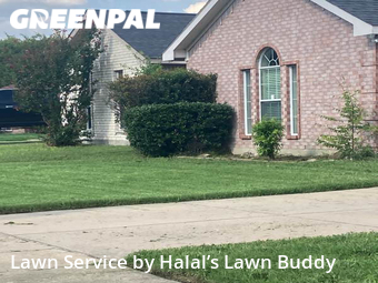 Lawn Care Service nearby Cedar Hill, TX, 