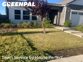 Work completed by reliable-lawn-care-service-in-Madera-CA