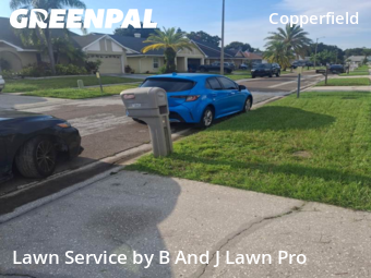Lawn Cutting nearby Tampa, FL, 