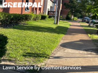 Lawn Cut nearby St. Louis, MO, 