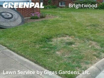 Lawn Maintenance nearby Washington, VA, 