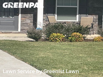 Lawn Mow nearby Spring Hill, TN, 
