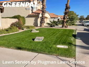 Grass Cut nearby Chandler, AZ, 