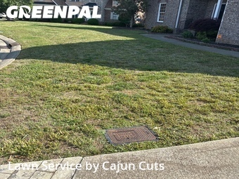 Lawn Mow nearby Murfreesboro, TN, 
