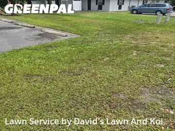 Grass Cut nearby Ocala, FL, 