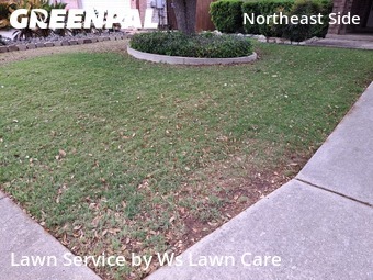 Lawn Cut nearby Schertz, TX, 