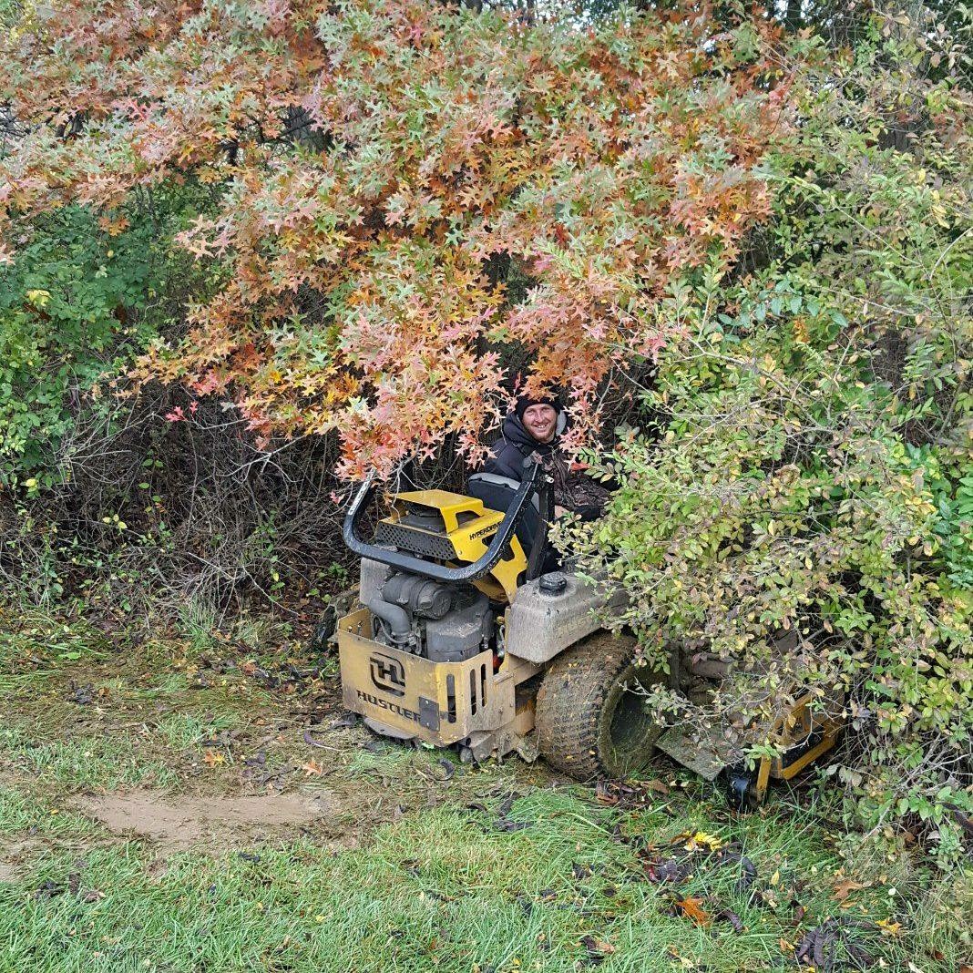 Work Image 3