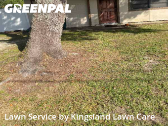Grass Cutin Oviedo,32765,Yard Cutting by Kingsland Lawn Care, work completed in Nov , 2025