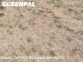 Landscaping Companies In Greensboro,27405,Landscaping Renovation by Lawn Heros Llc , work completed in Jul , 2026
