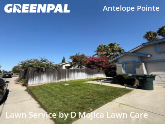 Lawn Cutting nearby Antelope, CA, 