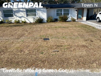 Lawn Maintenance nearby Tampa, FL, 