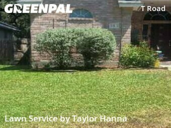 Yard Cutting nearby San Antonio, TX, 