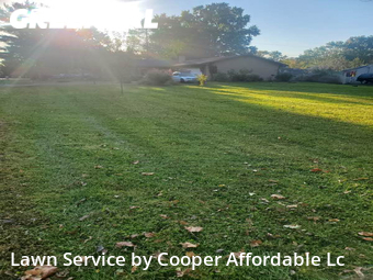 Lawn Cut nearby Columbus, OH, 