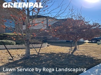 Lawn Mowing nearby Cibolo, TX, 