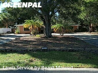 Grass Cut nearby St Petersburg, FL, 