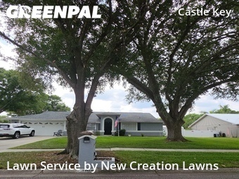 Lawn Service nearby Valrico, FL, 