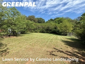 Grass Cutting nearby Greensboro, NC, 