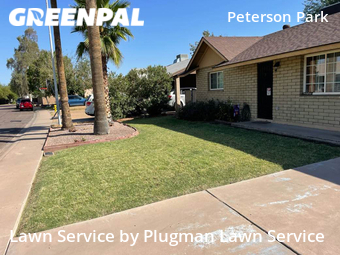 Lawn mowed in Tempe, 85282