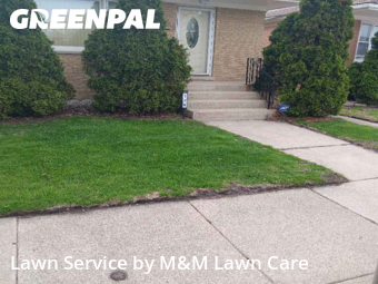 Lawn Cutting nearby Calumet City, IL, 