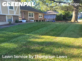 Lawn Care Servicein Olathe,66061,Lawn Care Service by Thompson Lawn, work completed in Nov , 2025